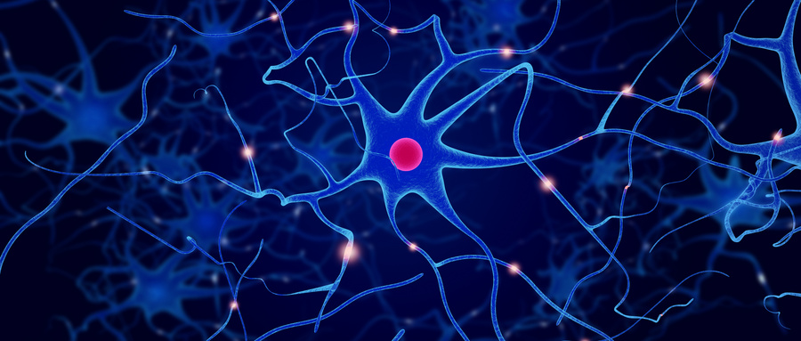 生理和病理状态下神经干细胞生物学特性