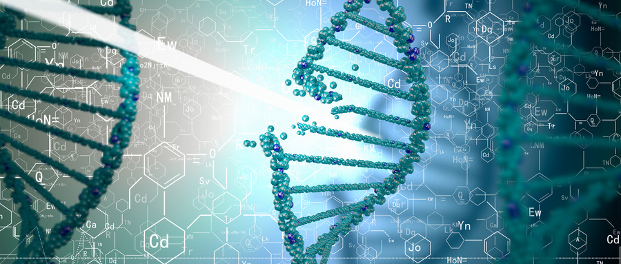 基于生物材料的溶瘤病毒载体构建