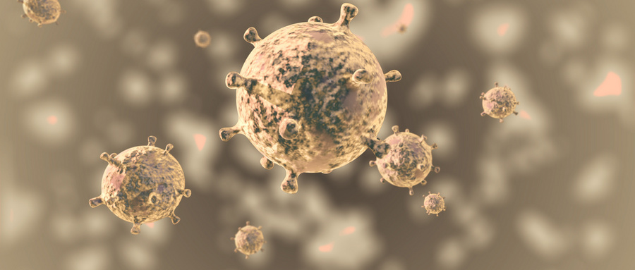 免疫细胞互噬作用在肿瘤免疫中的意义