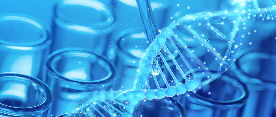 生长因子基因治疗SCI的基本策略和方法