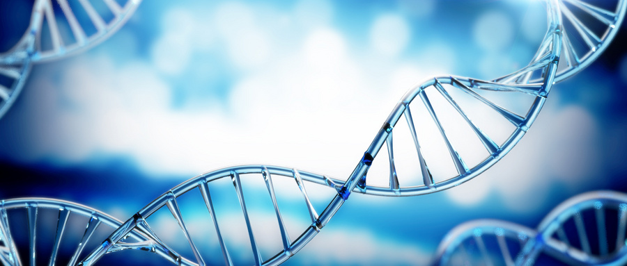 脱氧核酶在生物检测及基因治疗中的研究进展