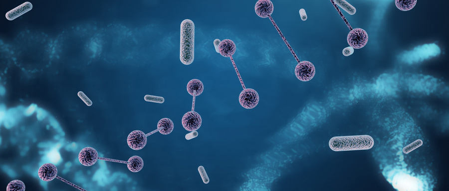 MSCs及其衍生物的治疗机制