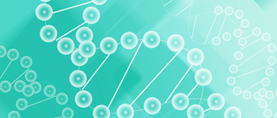 lncＲNA H19在成骨分化过程中发挥着重要作用