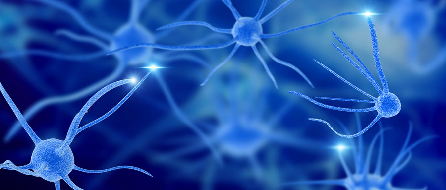 外泌体可促进神经干细胞的增殖